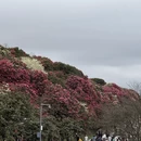 遵义旅游 缩略图 11