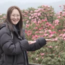 遵义旅游 缩略图 1