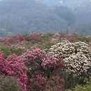 遵义旅游 缩略图 10