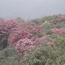 遵义旅游 缩略图 4