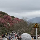 遵义旅游 缩略图 12