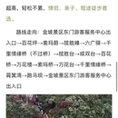 遵义旅游 缩略图 13