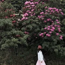 安顺旅游 缩略图 18