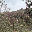 毕节旅游 缩略图 16