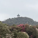 遵义旅游 缩略图 4