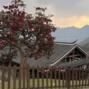 遵义旅游 缩略图 13