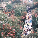 遵义旅游 缩略图 4