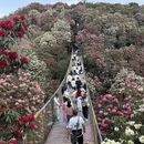 遵义旅游 缩略图 3