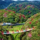 贵阳旅游 缩略图 1