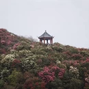 毕节旅游 缩略图 2