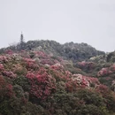 毕节旅游 缩略图 4