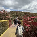 毕节旅游 缩略图 1