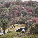 毕节旅游 缩略图 3