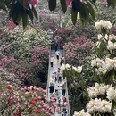 遵义旅游 缩略图 1