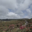 毕节旅游 缩略图 7