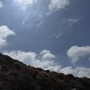 毕节旅游 缩略图 6