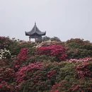 毕节旅游 缩略图 5