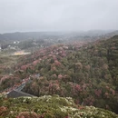 毕节旅游 缩略图 7