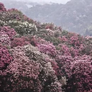 毕节旅游 缩略图 8