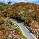 毕节旅游 缩略图 5