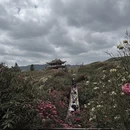 毕节旅游 缩略图 17