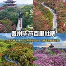 毕节旅游 缩略图 3