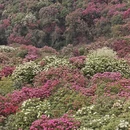 毕节旅游 缩略图 6