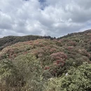 毕节旅游 缩略图 16