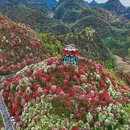 毕节旅游 缩略图 7