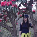 毕节旅游 缩略图 2