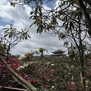 毕节旅游 缩略图 18