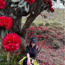 毕节旅游 缩略图 1