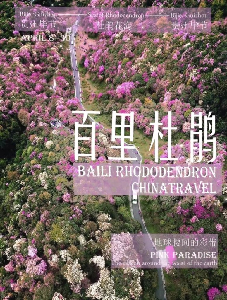 遵义旅游