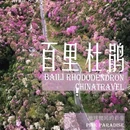 遵义旅游 缩略图 1