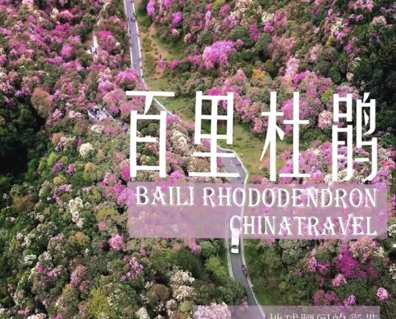 遵义旅游 1