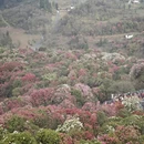 毕节旅游 缩略图 6