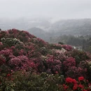 毕节旅游 缩略图 9