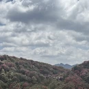 毕节旅游 缩略图 10
