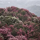 毕节旅游 缩略图 10