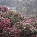 毕节旅游 缩略图 12