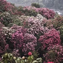 毕节旅游 缩略图 11