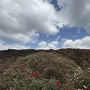 毕节旅游 缩略图 13