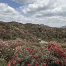 毕节旅游 缩略图 11