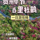 毕节旅游 缩略图 2