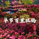 毕节旅游 缩略图 1