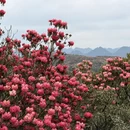 毕节旅游 缩略图 9