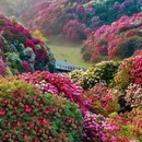 毕节旅游 缩略图 10