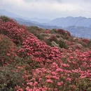 毕节旅游 缩略图 11