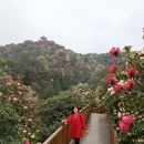 遵义旅游 缩略图 2