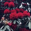 遵义旅游 缩略图 4